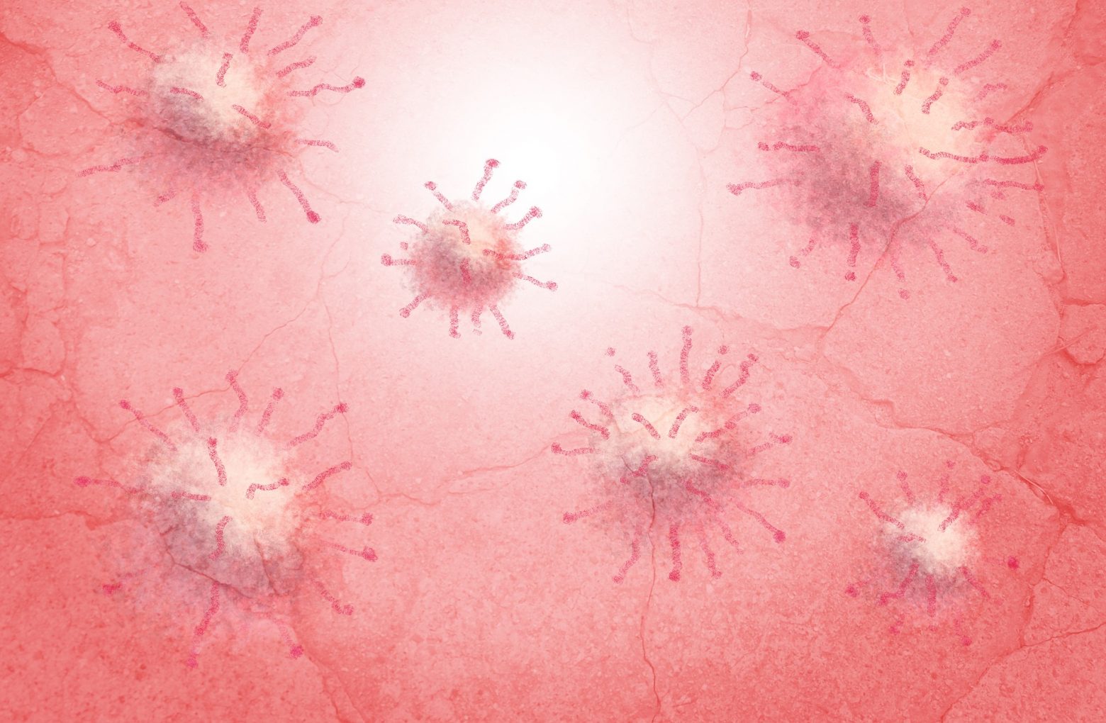 El virus del papiloma humano (VPH); causas, síntomas y tratamiento